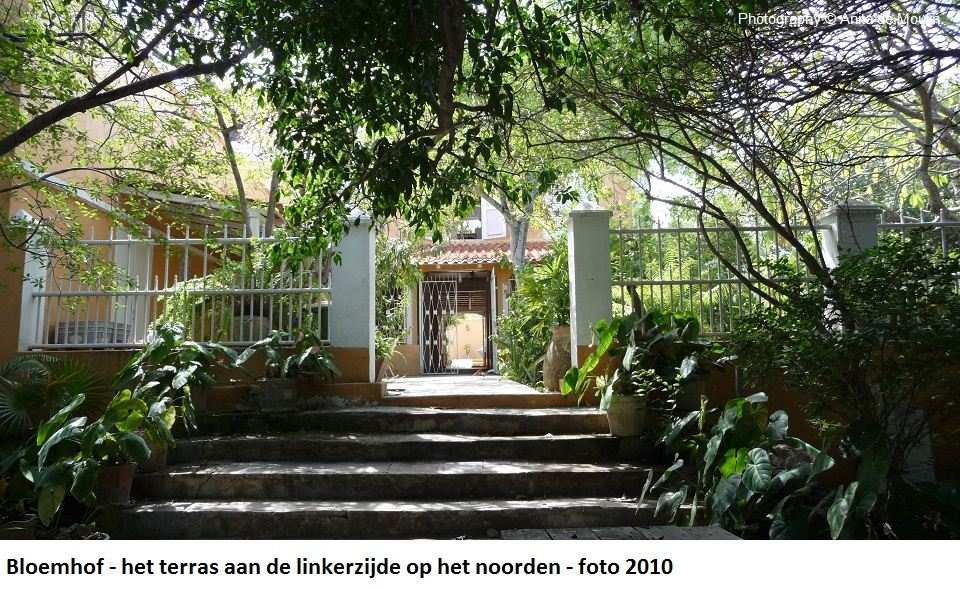 13. Bloemhof terras aan de linkerzijde op het noorden 2010